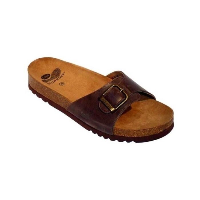 SCHOLL TYMEG